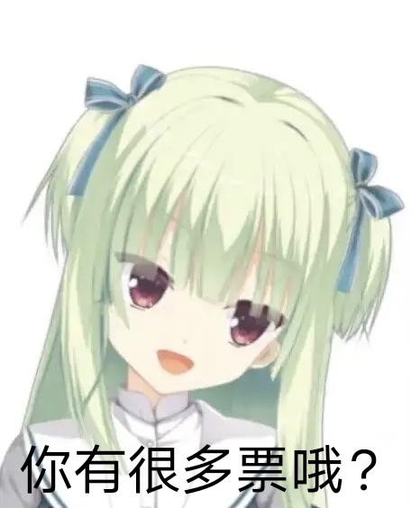 你有很多票咯？