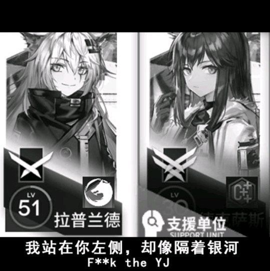 企鹅相簿登场两个了