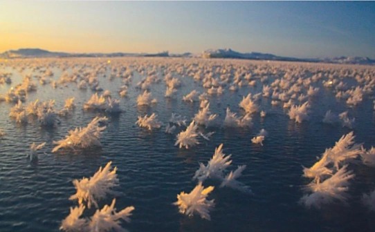 极地霜花