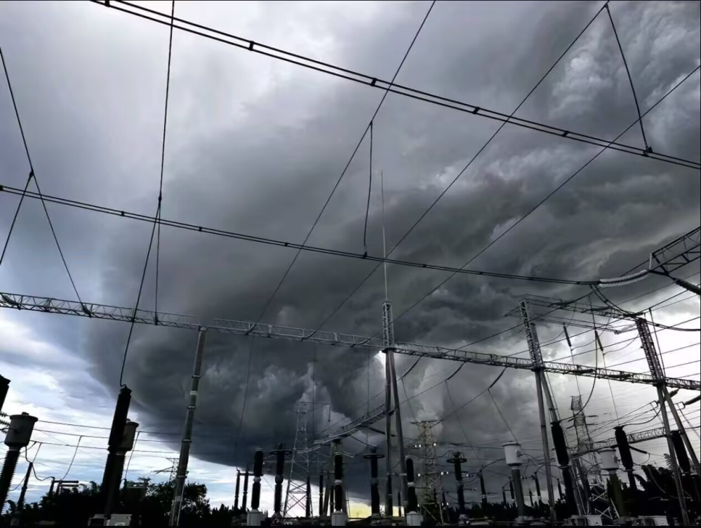 天灾形相·灾龙