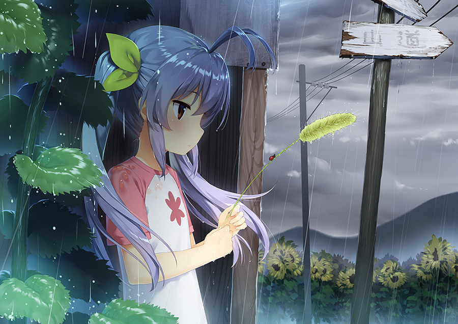 她没来啊……