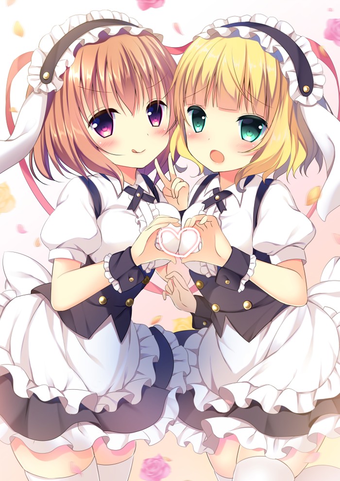 智乃：？？？