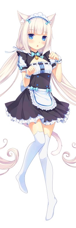 电波系白毛，没毛病