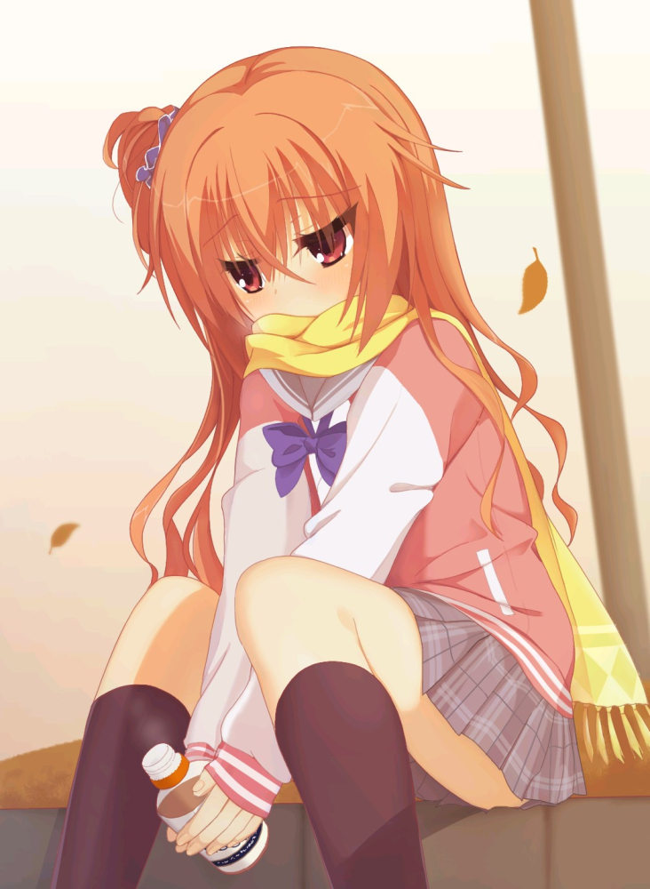 呜呜呜全都白费了……