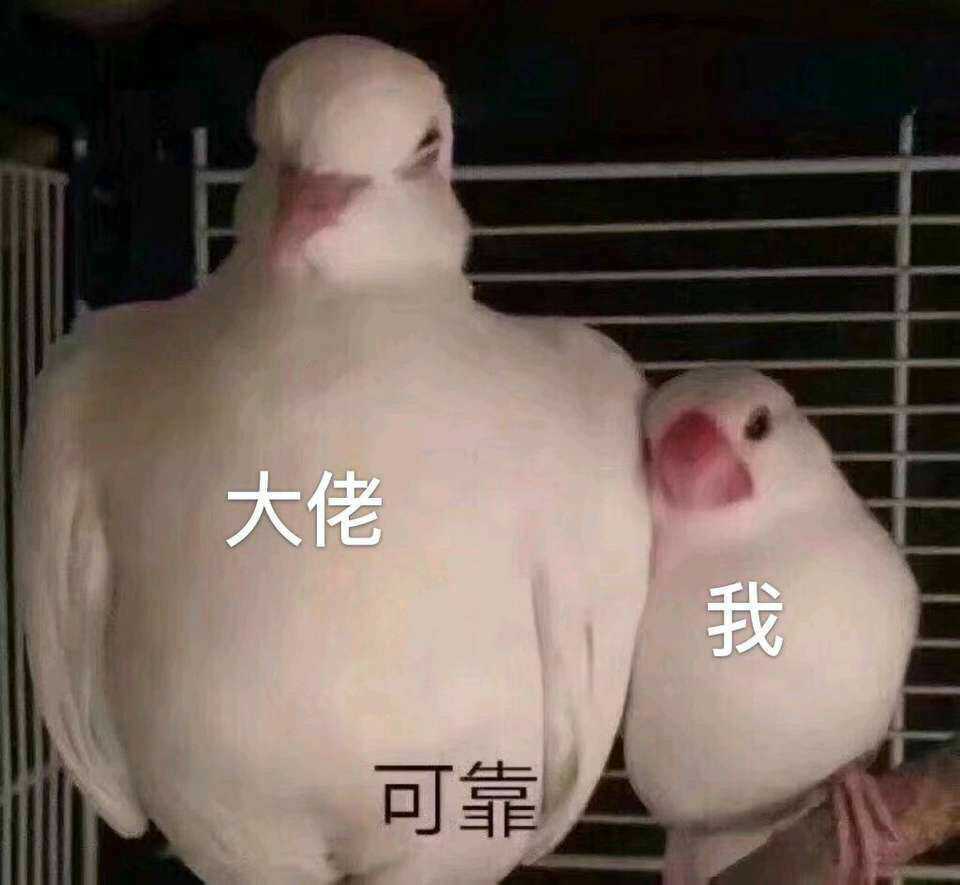 段子