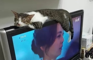 婴儿般的睡眠（bu）
