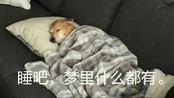 睡吧！梦里啥都有！