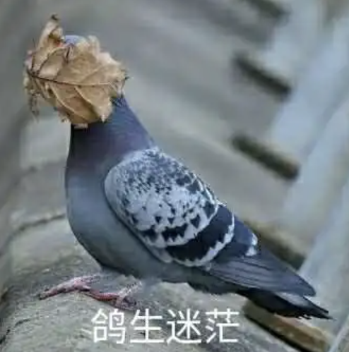 咕咕咕