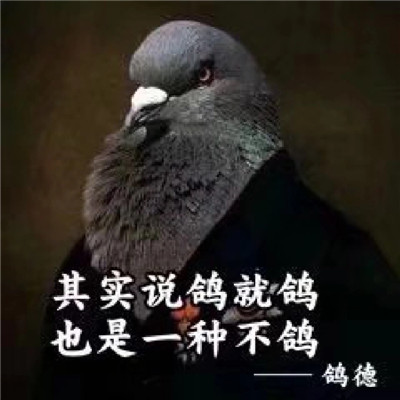 咕咕咕
