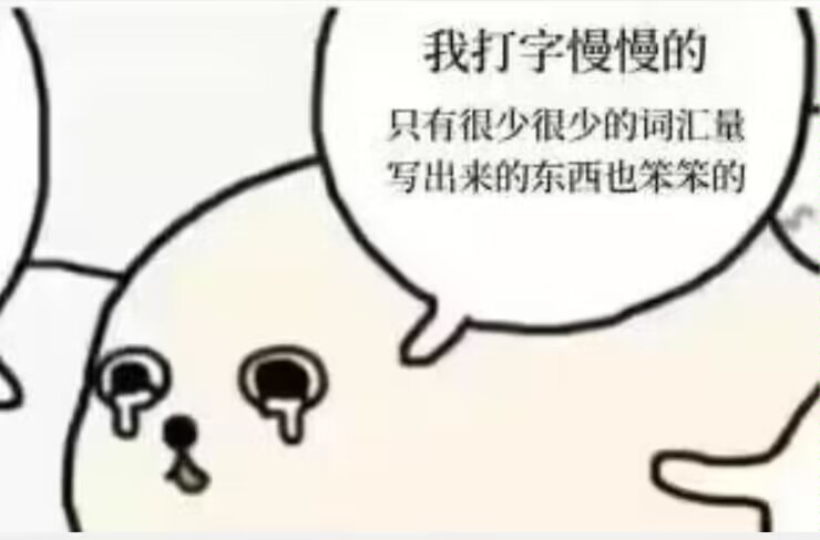 我不太适合码字太慢了