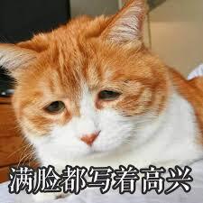 我抽出艾蕾了……吗