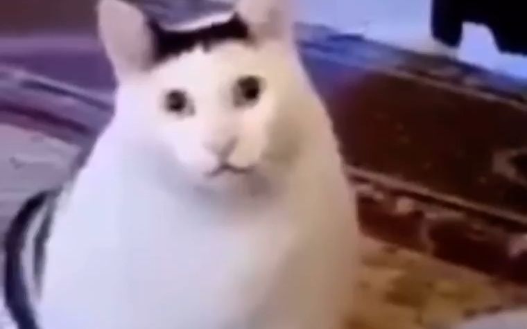 你知道我想说什么