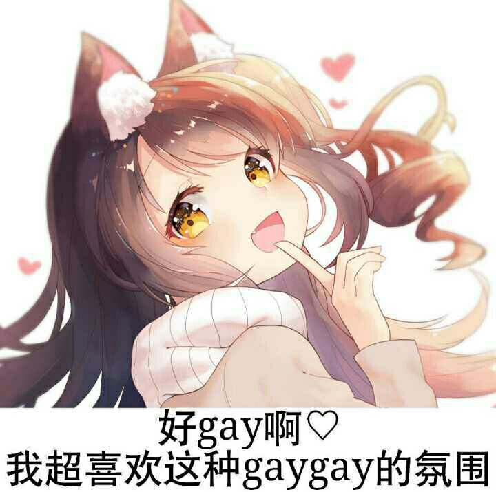 咖喱gaygay