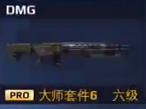 DMG