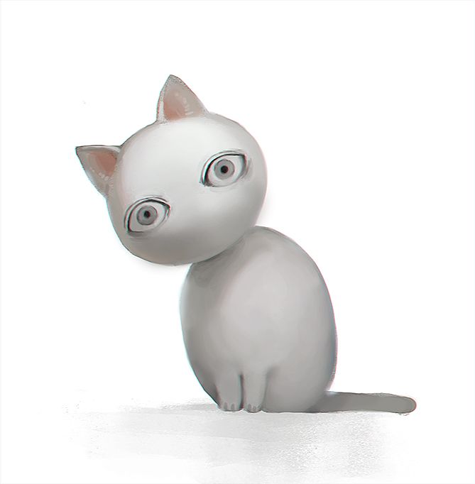 猫猫～