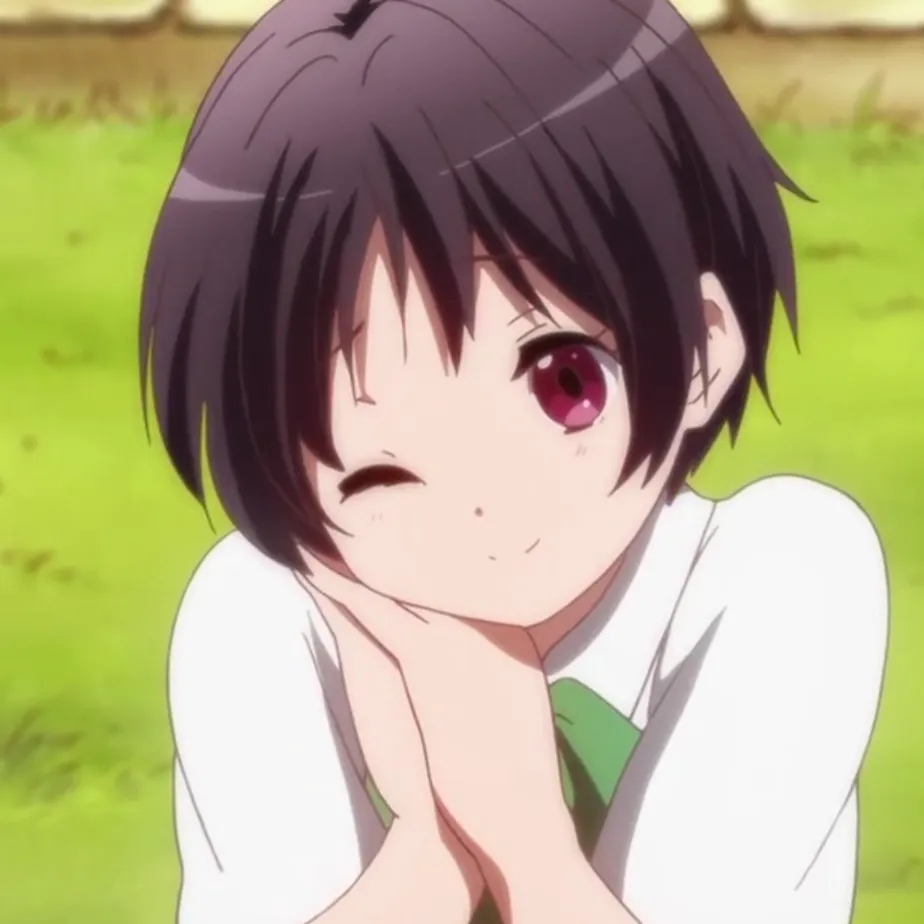 五月七日茴香