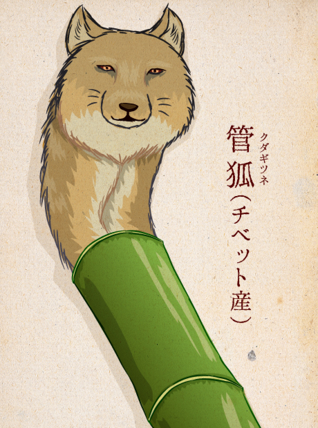 管狐（存疑）