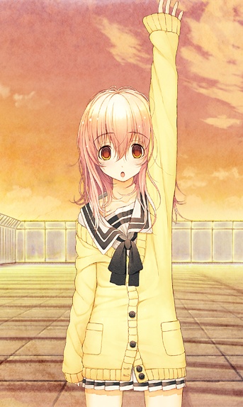 向日葵