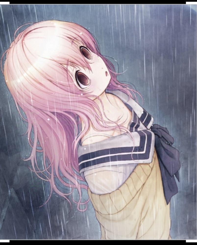 向日葵