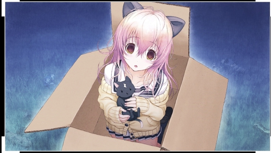 向日葵
