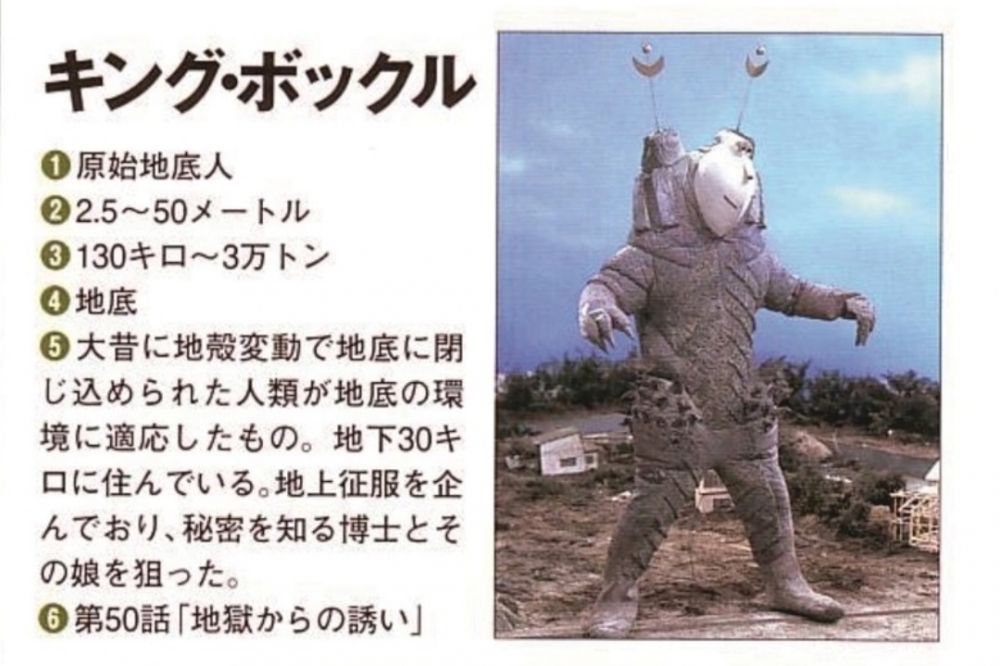 波克王