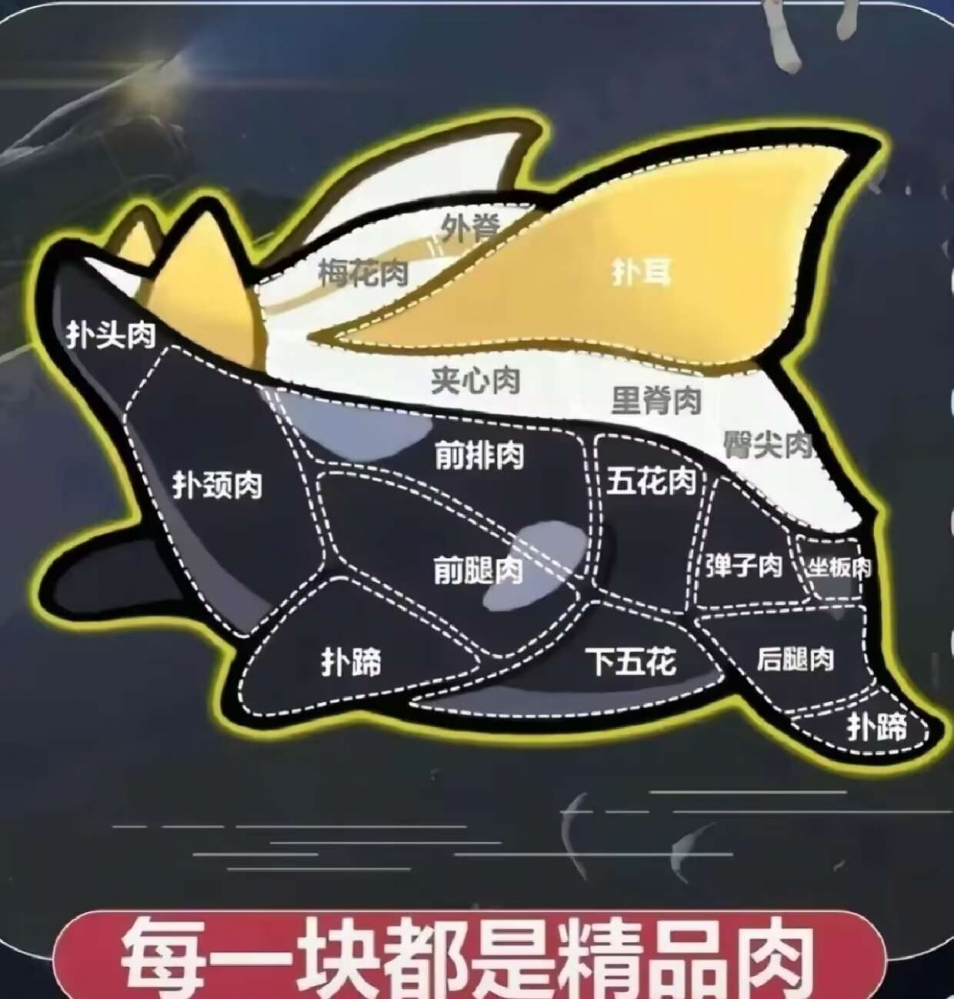 野猪示意图