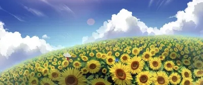 太阳花田