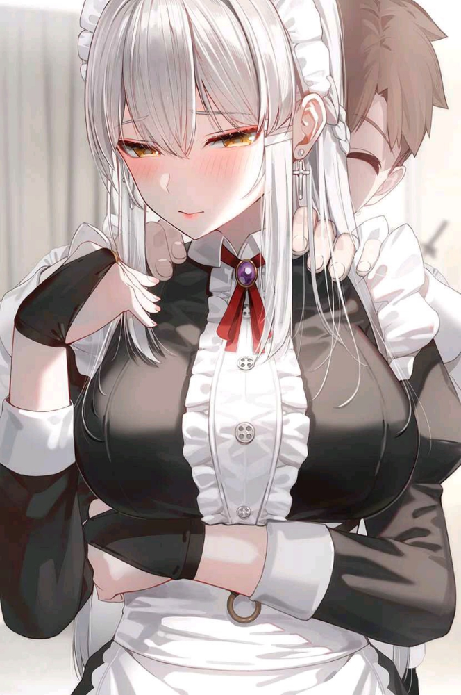 女仆的用法(雾