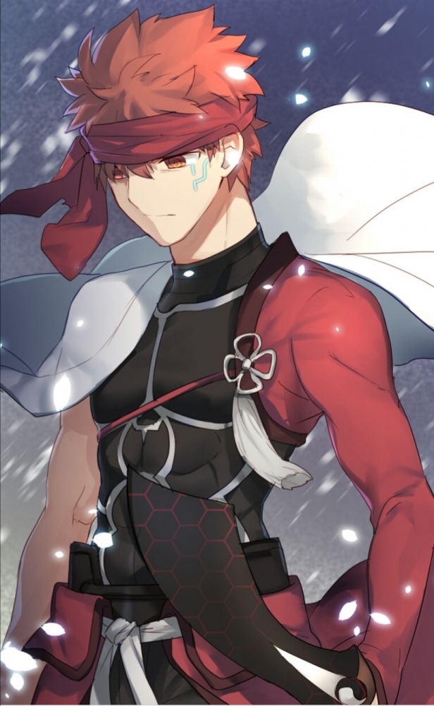 士郎梦幻召唤后的样子