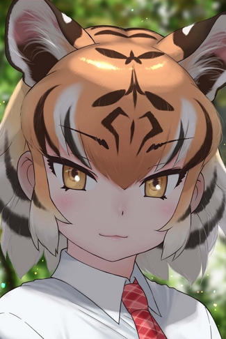 猫猫印象图