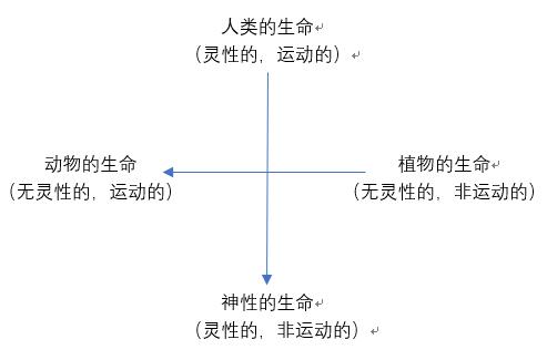 亚里士多德的四种生命