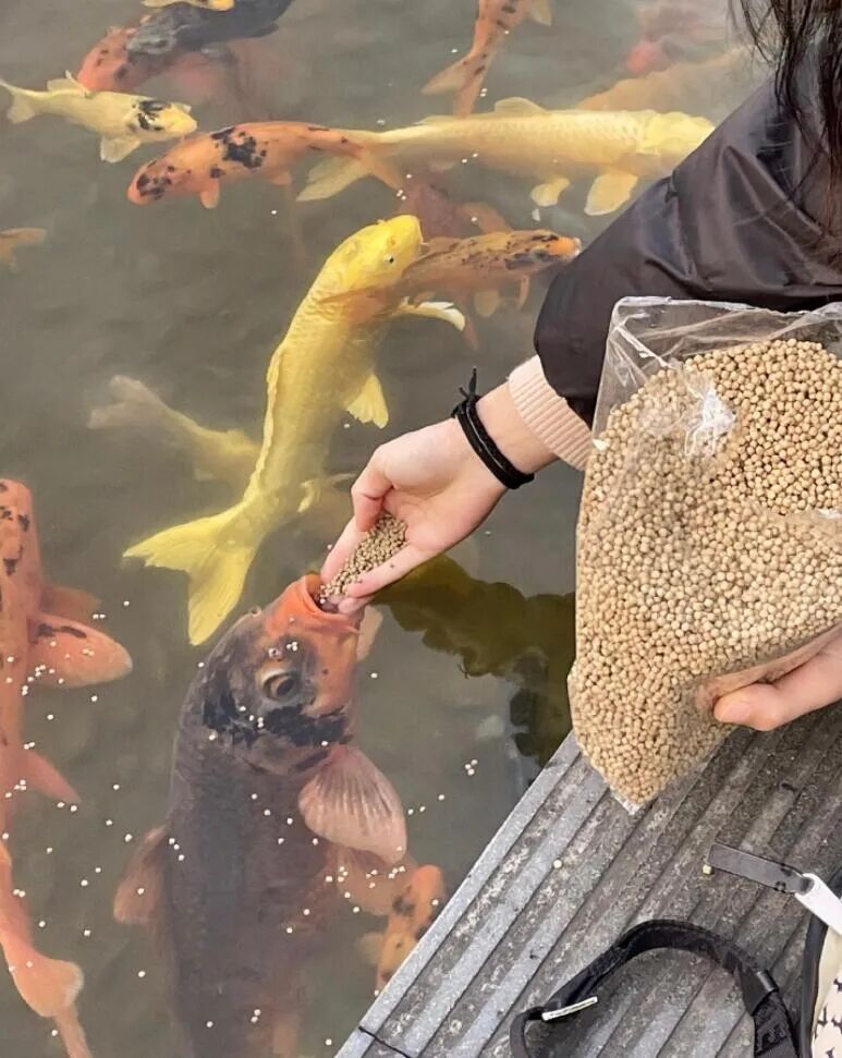 不知道为啥这图戳笑点