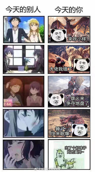 又是你(怪猎版)