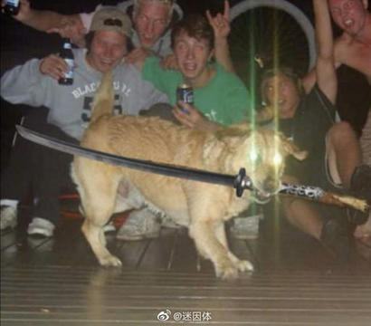 苍响???
