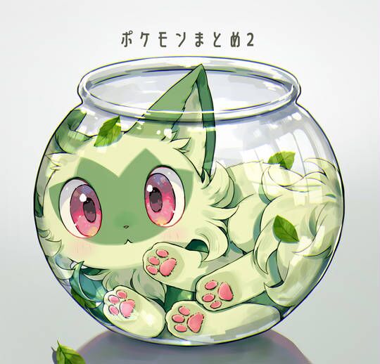 新叶喵