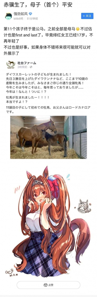 赤骥，11个孩子的妈