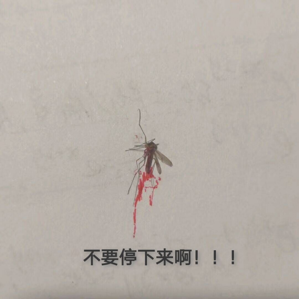 就连蚊子都……