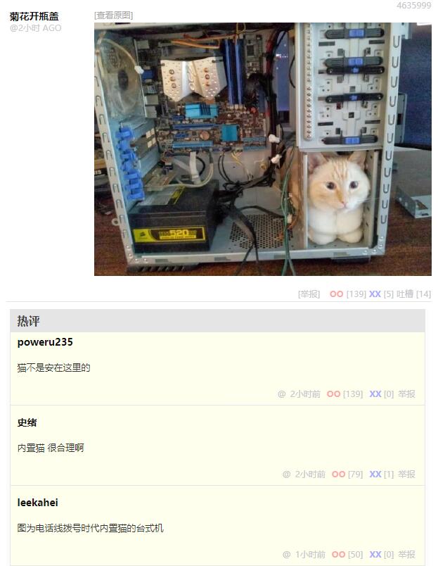 猫是装在这儿的吗？