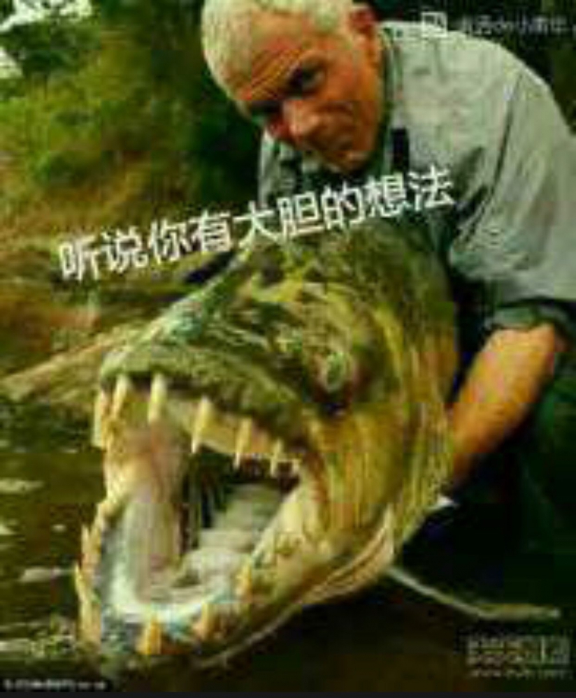 听说你有个大胆的想法