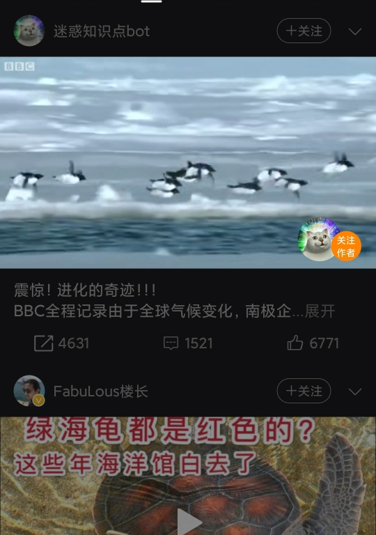 Σ(ﾟ∀ﾟﾉ)ﾉ