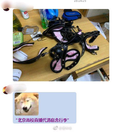 v♂an