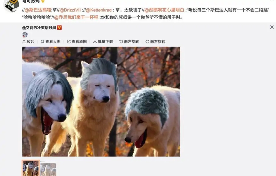 沙雕图