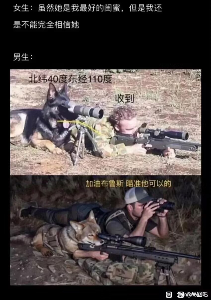 好样的布鲁斯