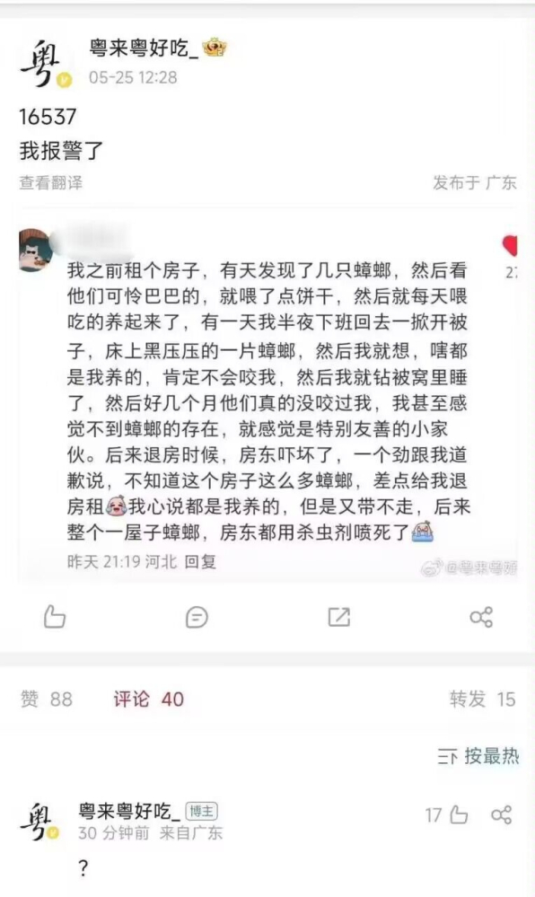 有点小众了兄弟
