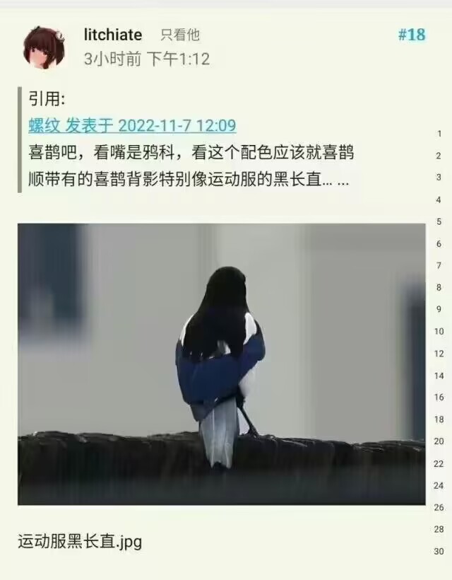 你还真别说