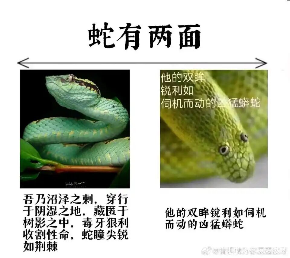 乐