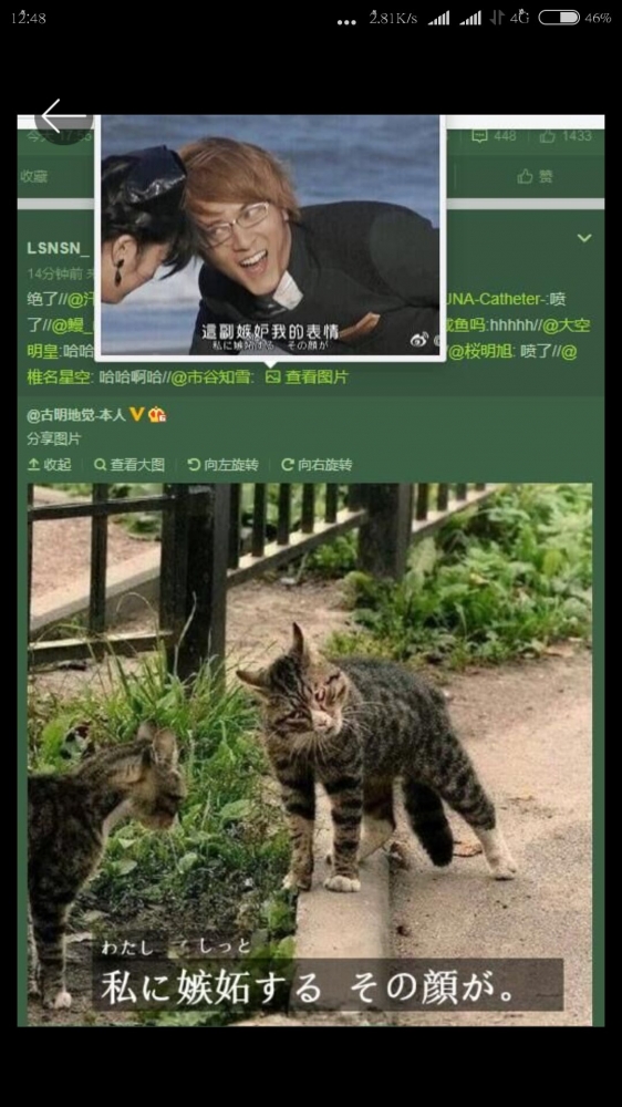 emmmm……