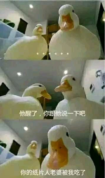 你老婆被吃了
