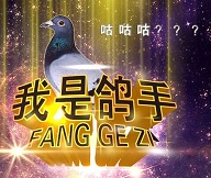 我是ge手宣传海豹