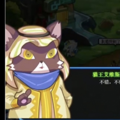 猫王艾维斯